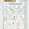 Metaplan-Plakat - Zentrale Qualitäten
