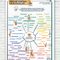 Metaplan-Plakat - Universelle Bedürfnisse